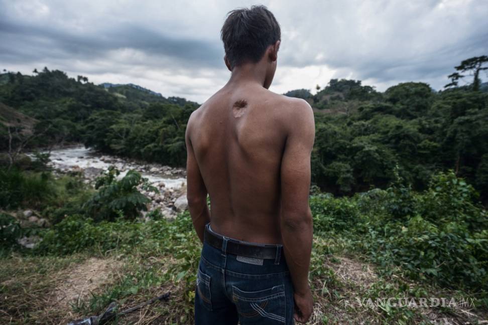 $!Ambientalistas de América Latina mueren por defender los recursos naturales