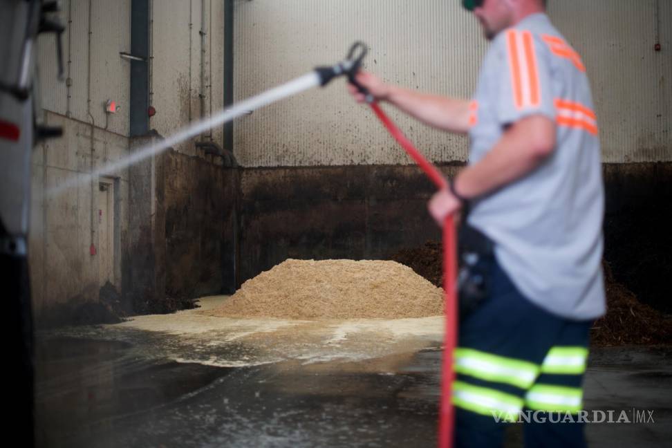 $!Un trabajador limpia una camioneta en una planta de Perdue en Seaford, Delaware, el 13 de septiembre de 2018.