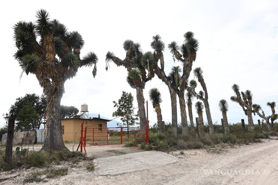 $!Saltillo: ejidatarios ven positivo proyecto fotovoltaico de Iberdrola; rentará terreno de acceso