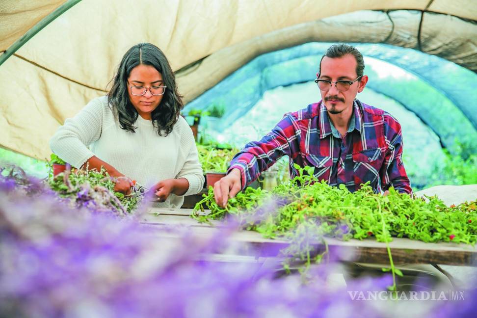 Javier Alanís y Sharon Castillo: Saltillo florece en Santa Anita
