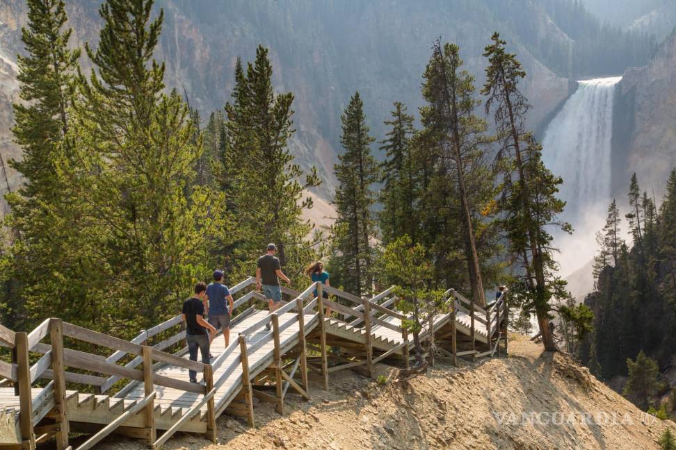 $!Yellowstone recibe a más de 3 millones de visitantes todos los años que vienen de todas partes del mundo. EFE/National Park Service