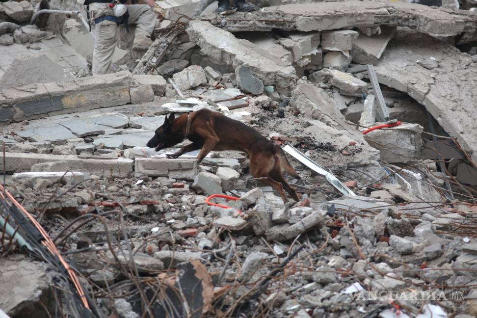 $!'Chichí' muestra que los milagros existen entre los escombros