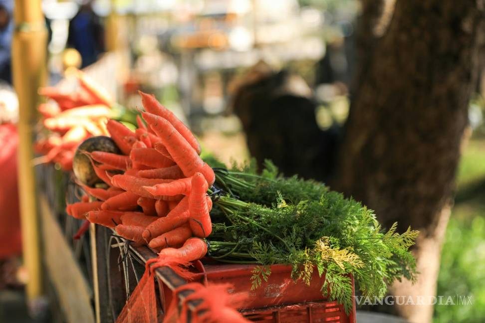 $!Aunque pequeñas, estas zanahorias vienen cargadas con una gran dosis de antioxidantes.