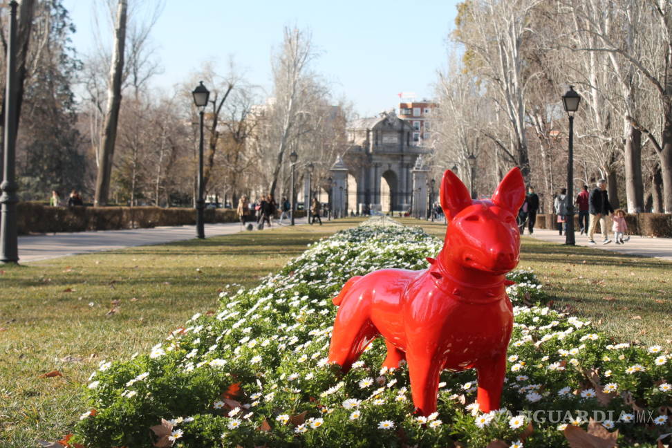 $!Madrid y Barcelona celebran exposición #lovethedogart