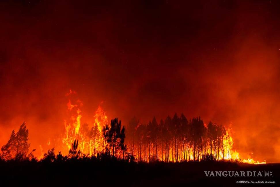 $!Fuego devora casi 700 mil hectáreas de bosque en Europa
