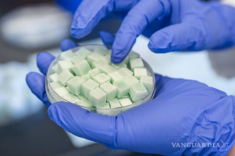 $!Luxin Wang y otros científicos de la Universidad de California, campus Davis, han inventado el hielo de gelatina reutilizable.