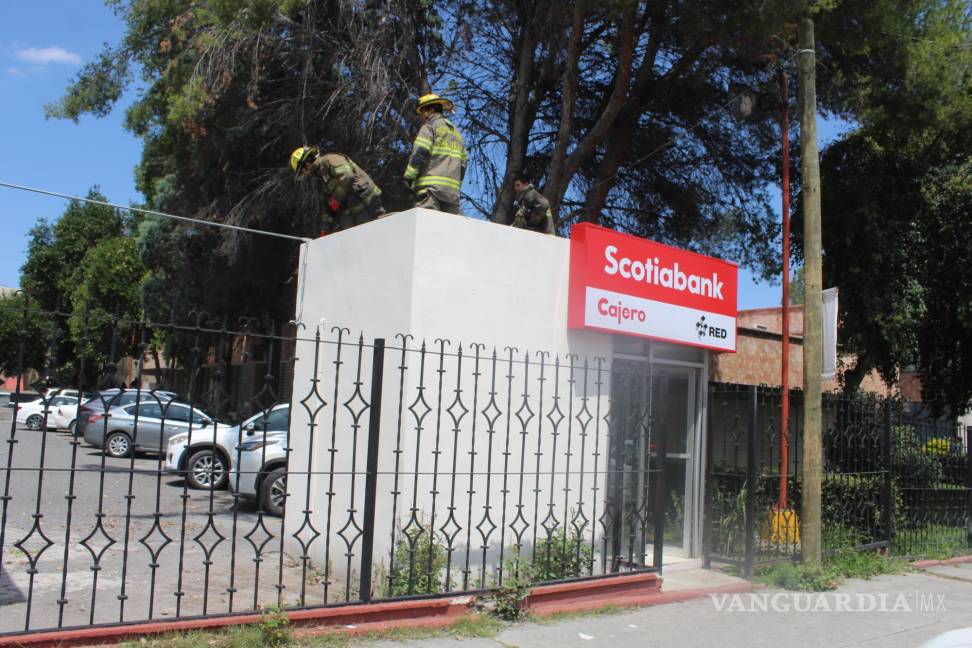 Fuga de gas en cajero del Tec Saltillo provoca intensa movilización