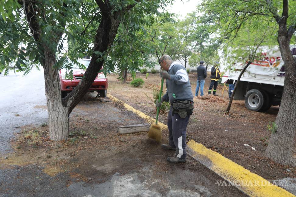 $!Las labores de reforestación incluyeron la plantación de árboles como fresnos, maples y truenos, que mejorarán la calidad del aire y brindarán sombra en zonas urbanas del sur de Saltillo.