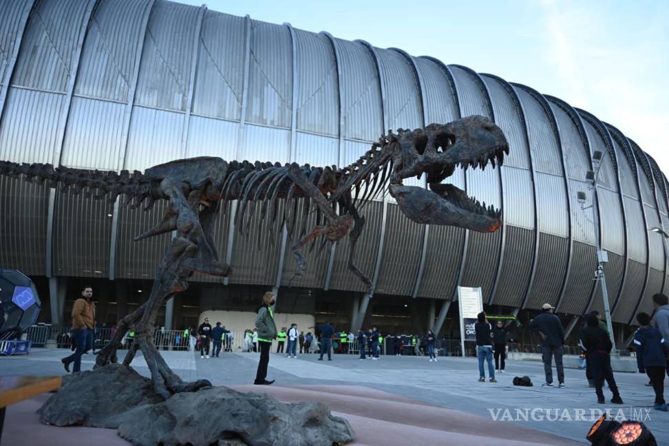 $!Impresionante réplica de restos fósiles de dinosaurio fue colocada en el stand de Saltillo.
