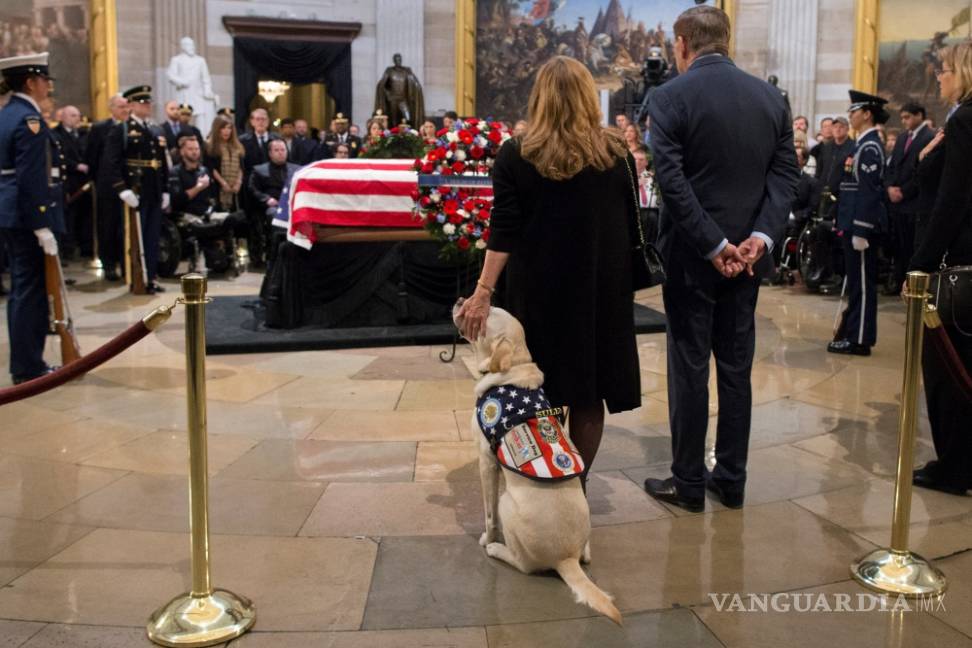 $!Sully, el perro del expresidente George H. W. Bush se despide de su amo (Fotogalería)