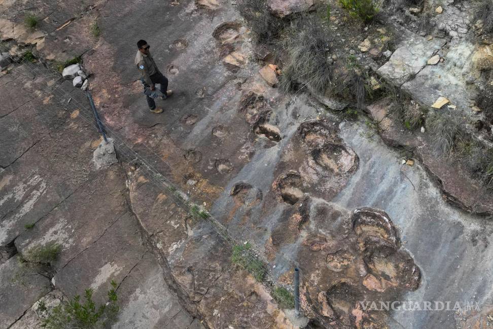 $!El guardaparques José Vallejos junto a huellas de dinosaurios petrificadas en Carreras Pampa, en el Parque Nacional Toro Toro, al norte de Potosí, Bolivia.