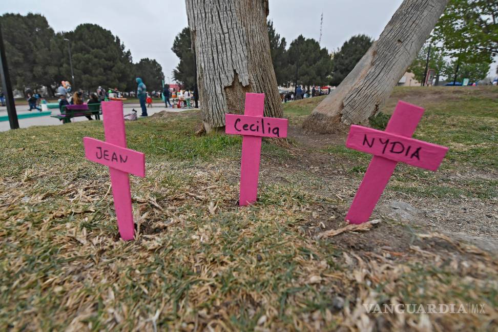 $!Dejan feminicidios 65 huérfanos en Coahuila, un delito que al paso de los años va a la alza