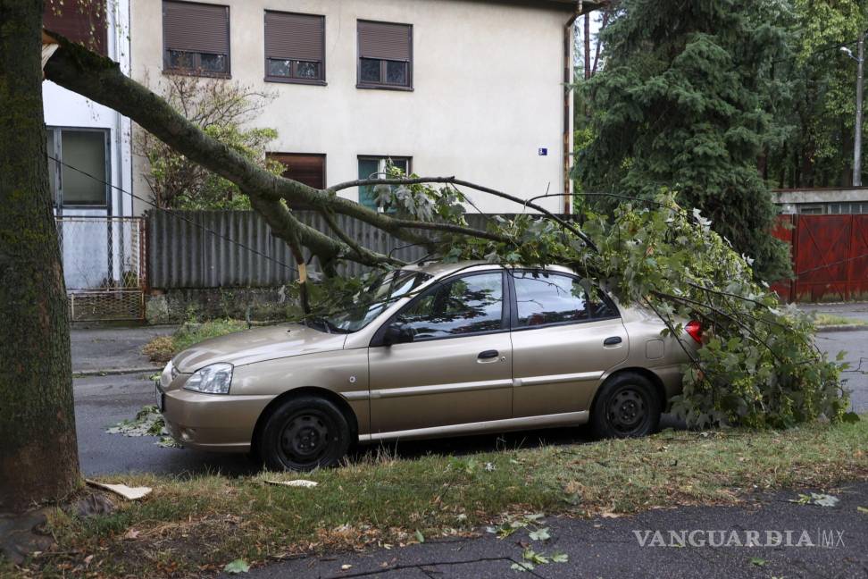 $!Un árbol caído en un automóvil estacionado dañado después de una poderosa tormenta, en Zagreb, Croacia.