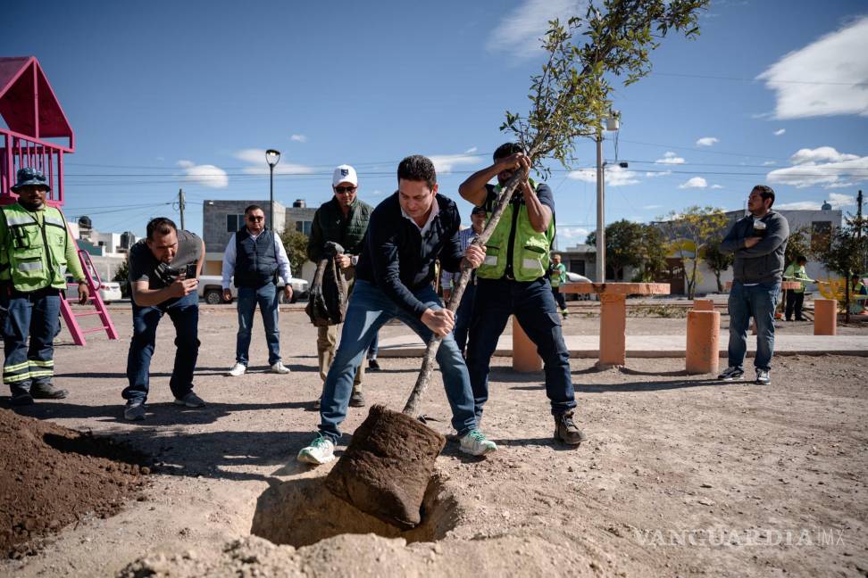 $!El trabajo de reforestación y el rastrilleo contribuyen al embellecimiento de la plaza, que será un espacio renovado para la comunidad de la colonia Saltillo 2000.