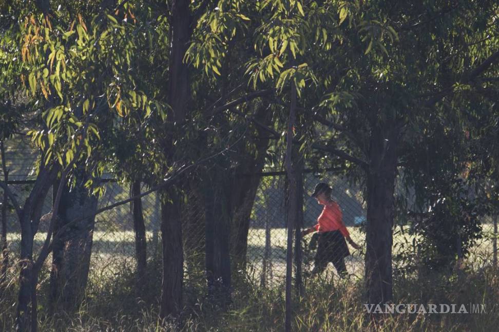 Rousseff deja la bicicleta y sale a caminar en su “día D”