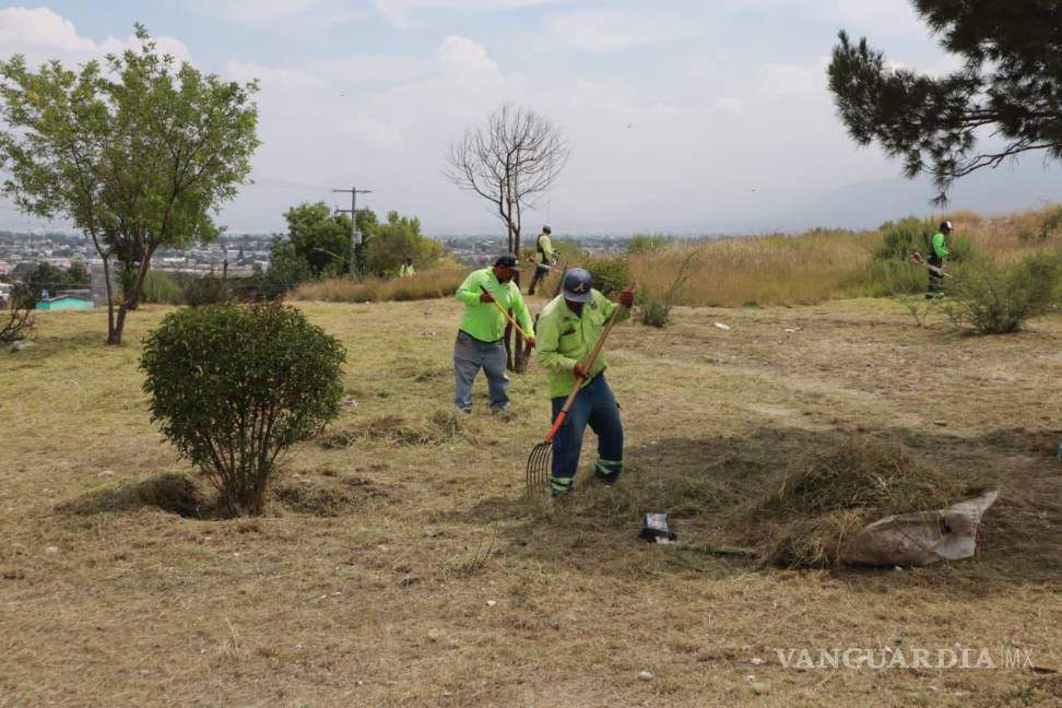 $!Brigadas municipales intervinieron la plaza de Colinas de San Francisco con labores de limpieza y retiro de maleza.