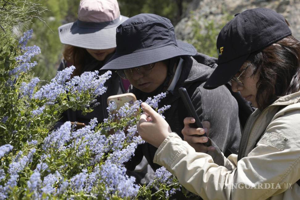 $!Estudiantes de la Universidad Autónoma de Baja California participan en una expedición botánica para documentar la biodiversidad en la frontera EU-México.