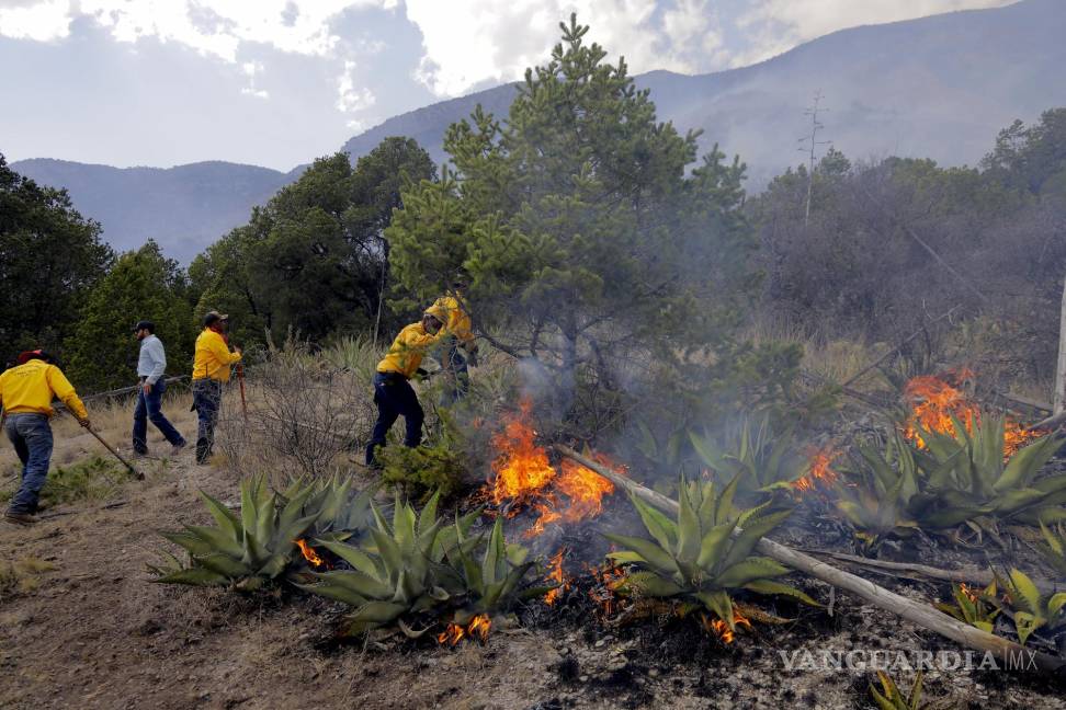 Clima ‘ideal’ en Coahuila para incendios forestales; hace mucho calor y poca humedad
