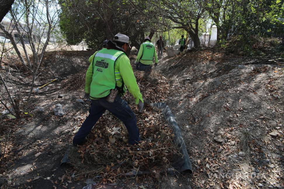 $!Cuadrillas municipales limpiando maleza en áreas verdes de Nuevo Mirasierra.