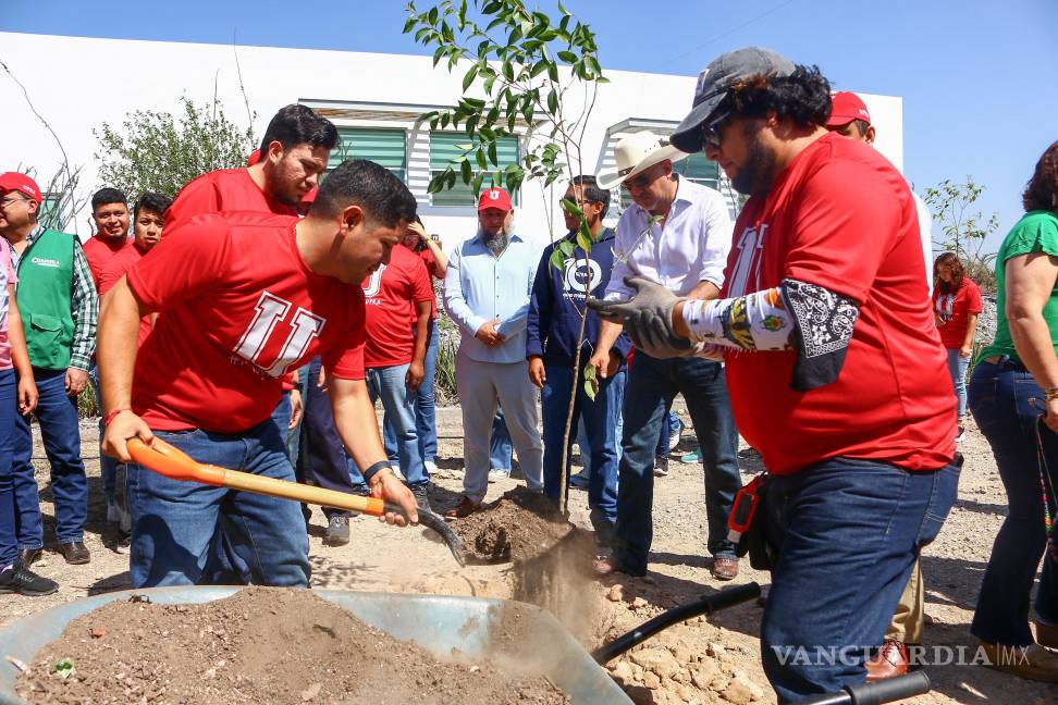 $!Decenas de árboles fueron plantados en la Universidad Politécnica de Ramos Arizpe como parte de la Megareforestación 2025.