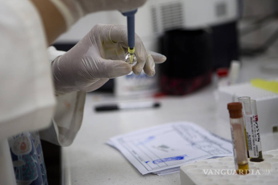 $!Confirma Brasil contagio de zika por transfusión sanguínea