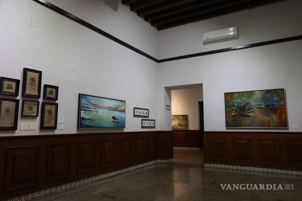 $!Laura Valdez inaugura exposición de pintura ‘Contrastes’: Reúne el mar y el desierto con arte