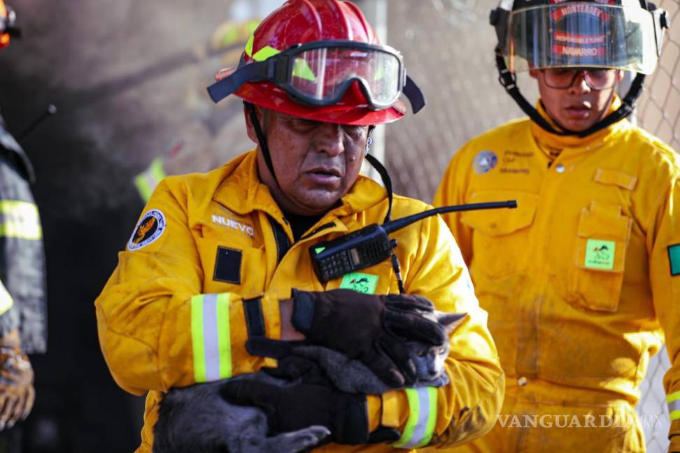 Evacuan a 30 personas y rescatan a seis animales por incendio en Monterrey, Nuevo León