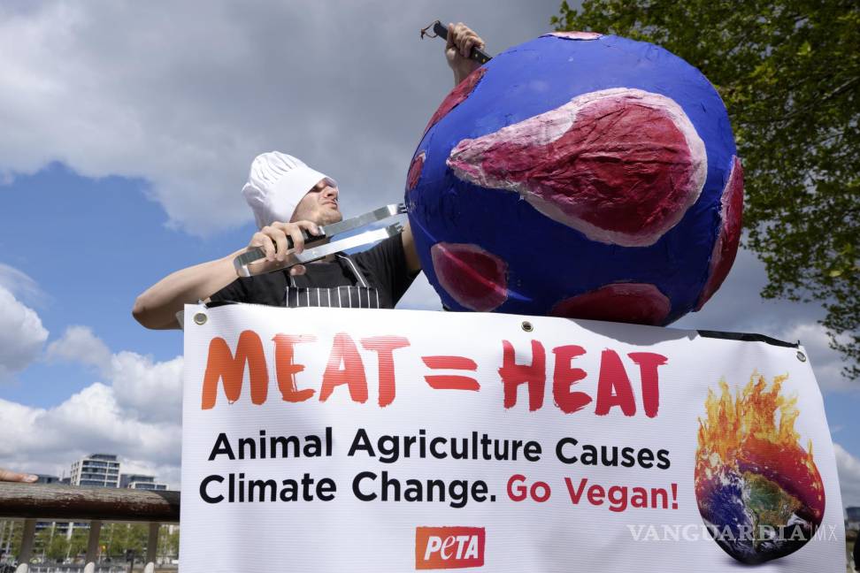 $!Un manifestante de PETA asa a la parrilla a la Tierra para mostrar cómo el consumo de carne está destruyendo el planeta, en el Southbank de Londres.