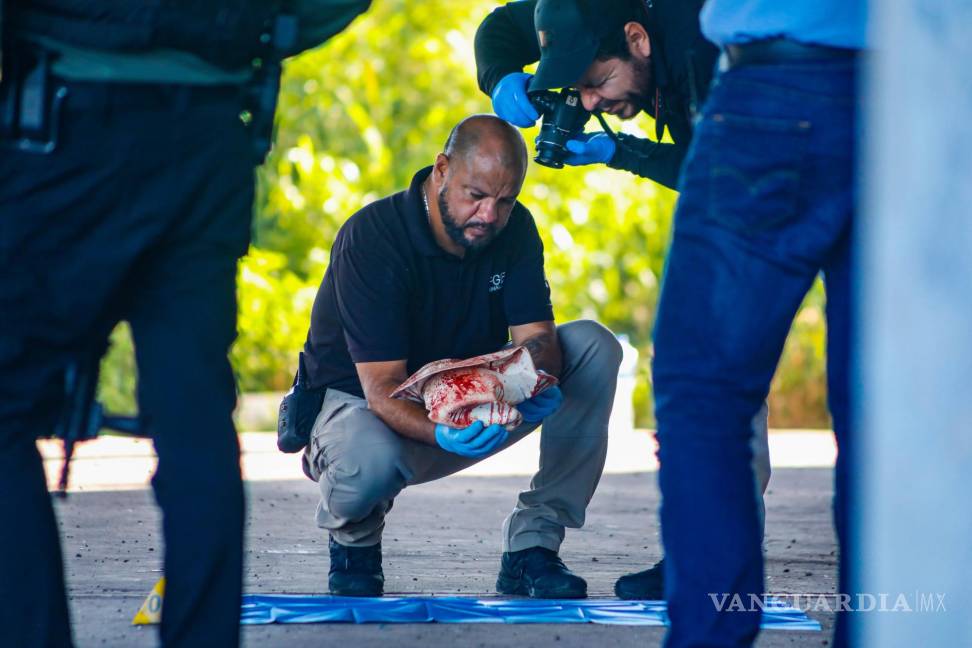 $!CLa violencia entre los grupos delictivos que se disputan el control de Culiacán, Sinaloa, ha alcanzado niveles alarmantes. En un despliegue de crueldad extrema, los rivales son secuestrados, llevados a las afueras de la ciudad, torturados, asesinados y, en algunos casos, decapitados. Esta mañana, seis cuerpos fueron encontrados en distintos puntos de la periferia de Culiacán, incluyendo el de una mujer. Tres de las víctimas masculinas presentaban signos de tortura, heridas de bala y habían sido decapitadas. El primer hallazgo se realizó a las seis de la mañana, bajo un puente en la salida sur que conecta la carretera internacional México 15 con el periférico La Costerita. Allí se encontraron los cuerpos de tres hombres y una mujer. Los hombres, de entre 20 y 25 años, estaban amordazados, con las manos mutiladas y disparos en la cabeza. Posteriormente, se reportó el hallazgo de otro cuerpo en una gasolinera del poblado El Melón, en la sindicatura de Quila, a unos 70 kilómetros al sur de Culiacán, área controlada por Ismael “Mayo” Zambada. La víctima, un hombre de aproximadamente 35 años, vestía camisa negra, pantalón de mezclilla y tenía barba y cabello negro. El tercer reporte correspondió a un hombre sin vida encontrado en la colonia Campesina El Barrio, al oriente de Culiacán, cerca de la carretera hacia la sindicatura de Sanalona