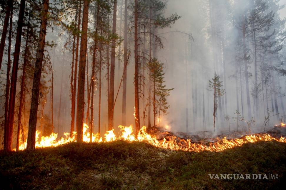 $!Bomberos de Suecia luchan por extinguir 50 incendios