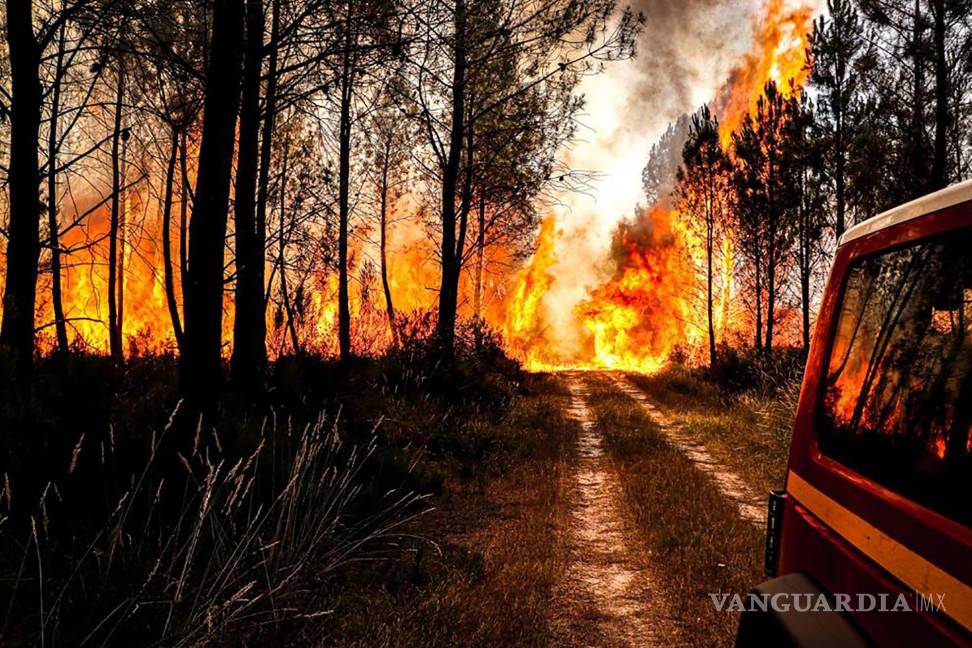 $!Esta foto proporcionada por el cuerpo de bomberos de la región de Gironde (SDIS 33) muestra un incendio forestal cerca de Landiras, en el suroeste de Francia.