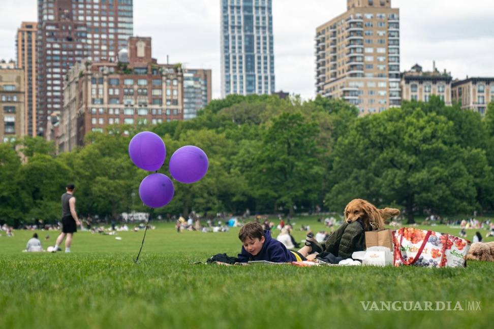 $!Un niño, acompañado de su perro, lee en el Central Park de Nueva York.