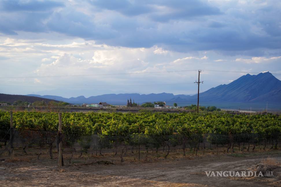 $!Son inumerables las opciones de esparcimiento con las que cuenta Ramos Arizpe.