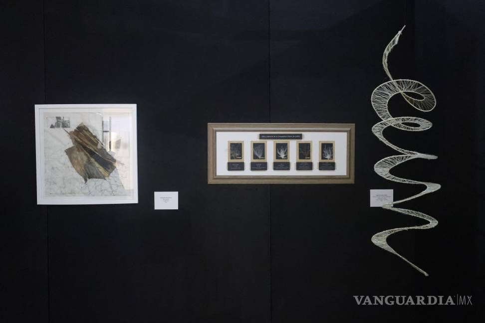 $!Exploran el desierto, el bosque y la ciudad por medio del arte textil y la literatura