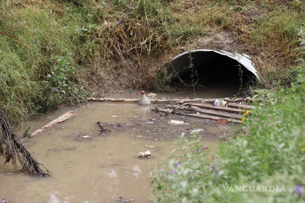 $!Alcantarillas desbordadas por basura acumulada, lo que contribuye a problemas de drenaje y aumenta el riesgo de inundaciones en las calles.