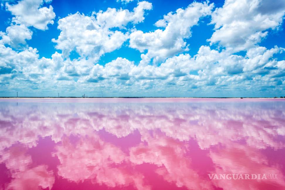 La mágica laguna rosa mexicana que sorprende a las redes