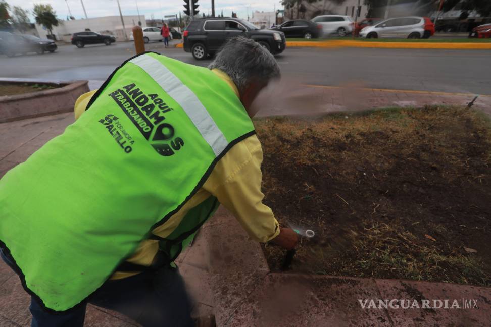 $!El sistema de riego de la Plaza del Congreso es rehabilitado para garantizar el mantenimiento de sus áreas verdes.