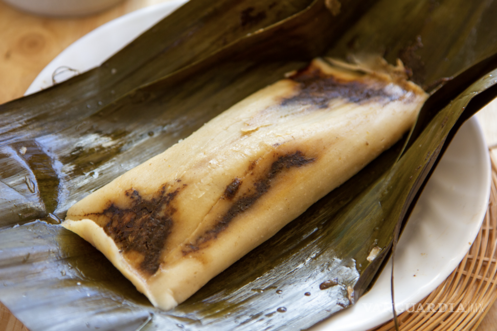 $!¡Descubre las mejores recetas de tamales para sorprender a todos!