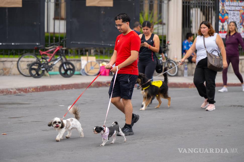 $!La Ruta Recreativa reunió a deportistas, familias y mascotas en una mañana fresca ideal para la actividad física y la convivencia.