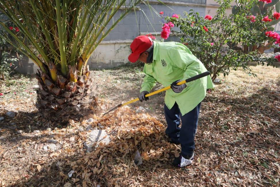 $!Las acciones se intensificaron en calles del primer cuadro de la ciudad .