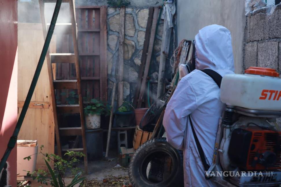 $!El Ayuntamiento busca reducir la presencia del parásito en las zonas urbanas y proteger la salud de las familias saltillenses.