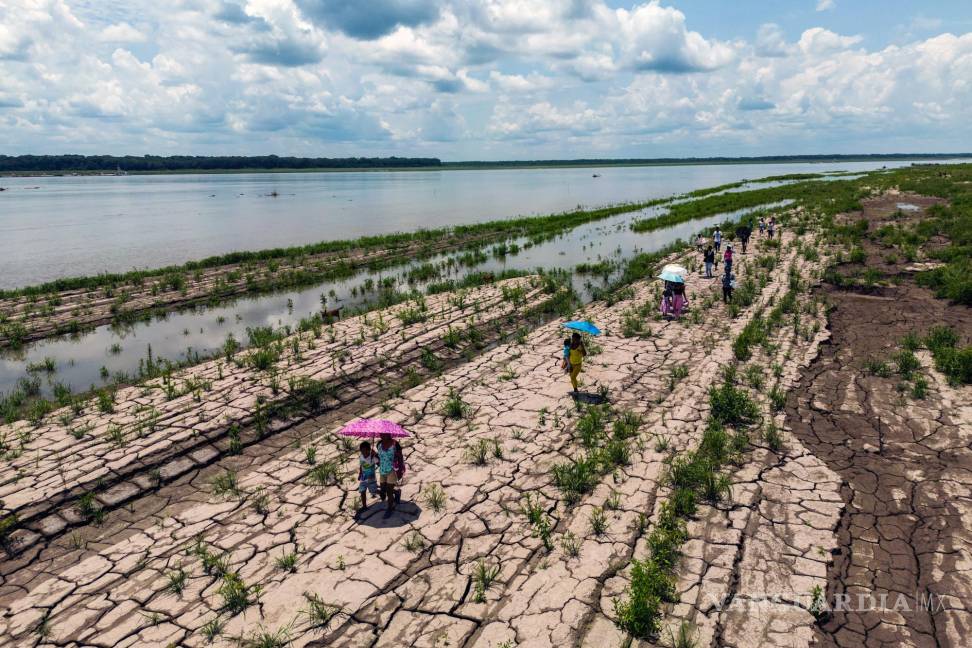 $!Si no se pone un freno a las emisiones de gases de efecto invernadero, otro 3% de las zonas húmedas del mundo serán “tierras secas para finales de este siglo”.