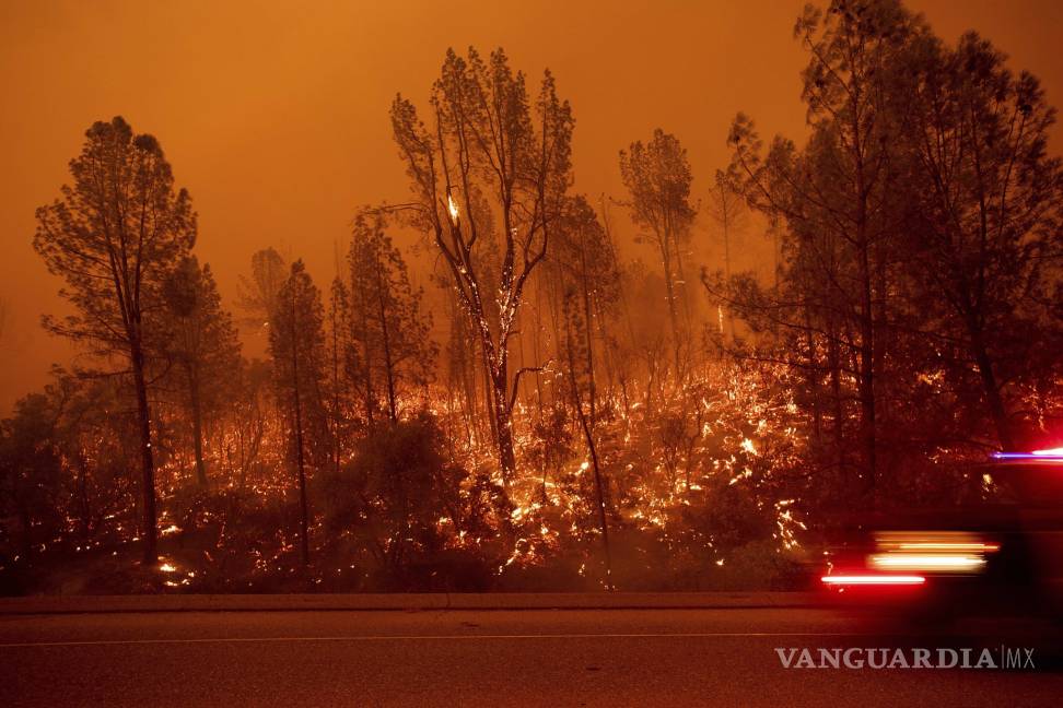 $!Incendio forestal en California deja una persona muerta y 11 mil 500 hectáreas quemadas