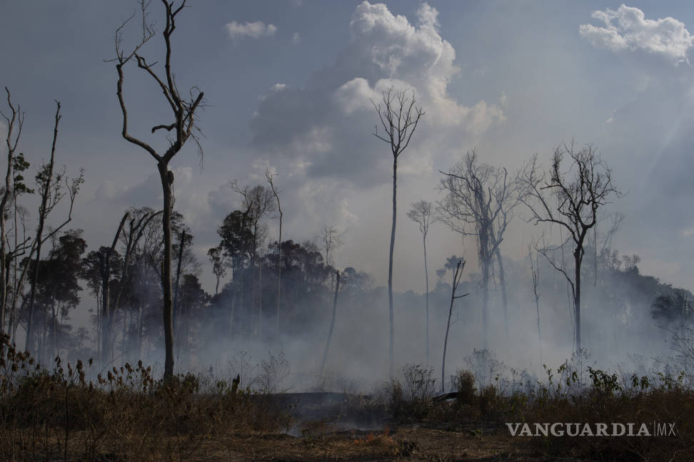 $!G7 ofrece a Brasil 20 mdd para combatir el fuego en la Amazonía