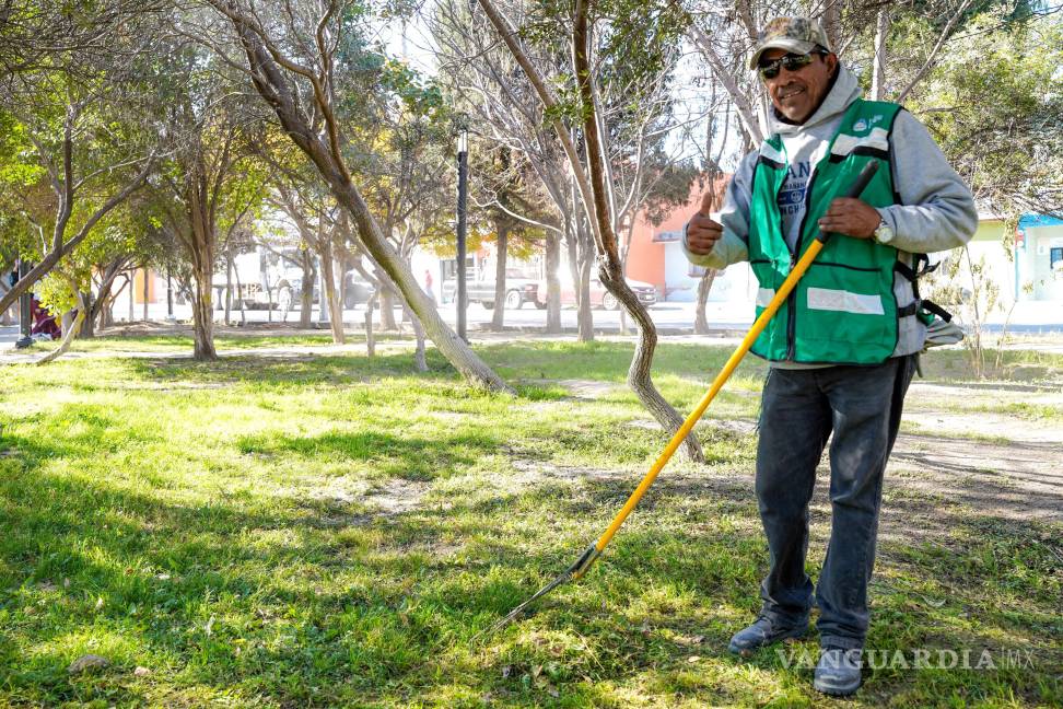 $!Labores de pintura y poda de árboles se realizan como parte del programa permanente de mejora urbana.