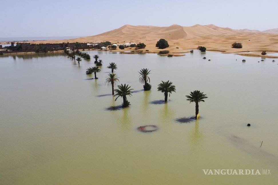 $!Las palmeras se inundan en un lago causado por las fuertes lluvias en la ciudad desértica de Merzouga, cerca de Rachidia, sureste de Marruecos.