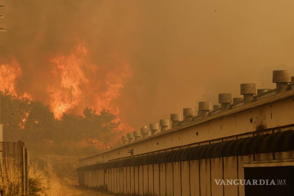 $!Las llamas se acercan a una granja durante un incendio forestal en Santa Baia de Montes, en el noroeste de España.