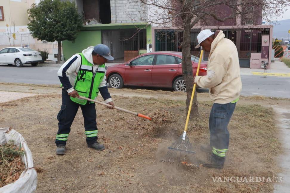 $!Brigadas municipales realizan labores de limpieza, deshierbe y retiro de escombro en plazas públicas de la colonia Latinoamericana.