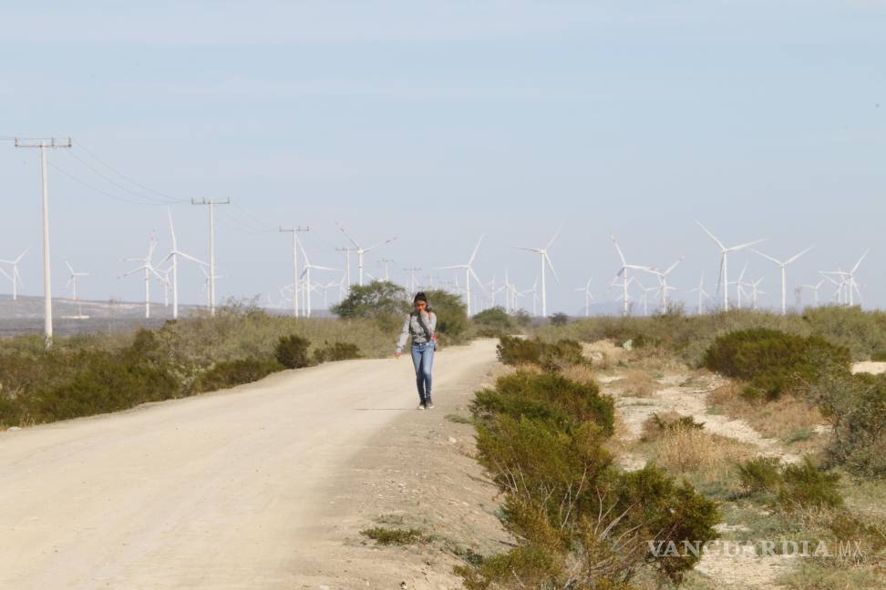 $!Actualmente entre el 20 y el 30 por ciento de los caminos rurales de Saltillo requieren mantenimiento y mejoras.