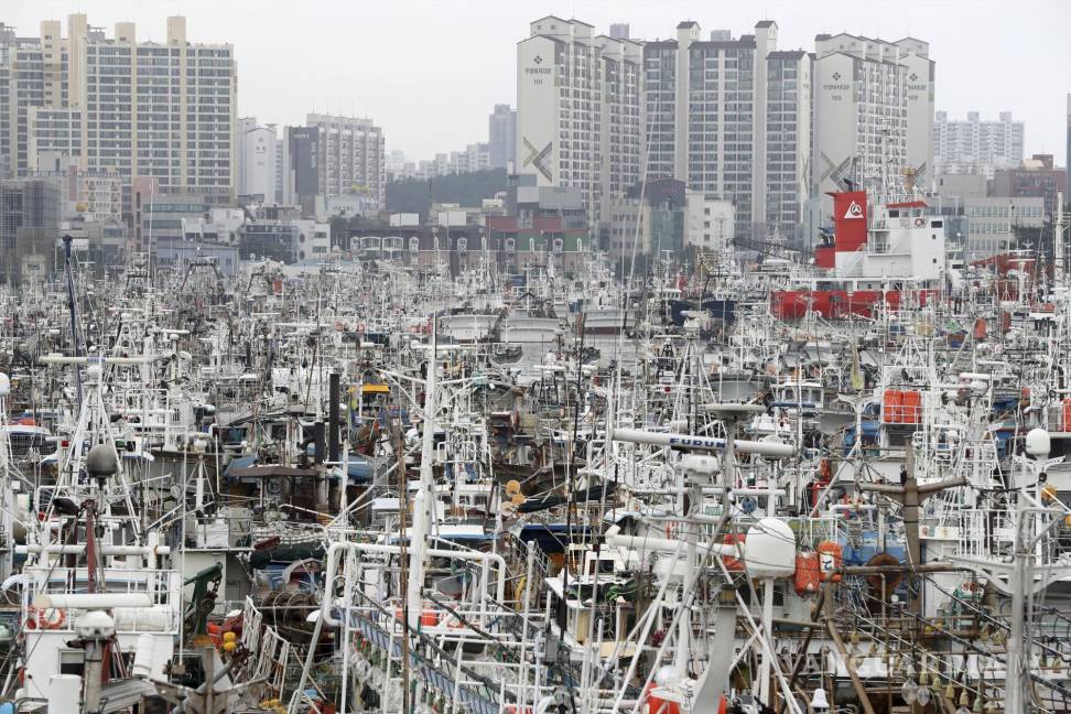 $!Los barcos pesqueros están anclados en un puerto mientras el tifón Hinnamnor viaja hacia la península de Corea en Pohang, Corea del Sur.